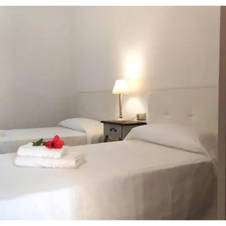Anahi Homes Corralejo- Dracaena 18 *